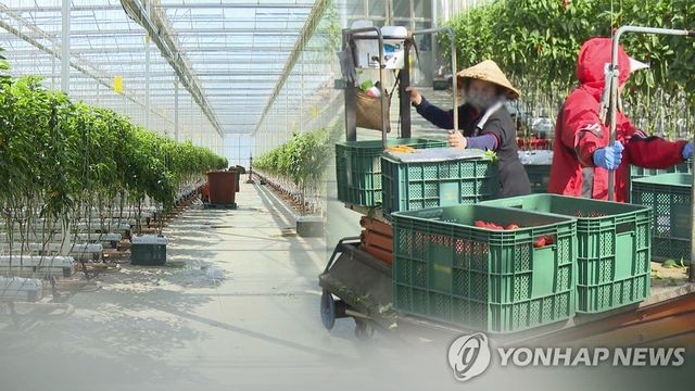 외국인 계절근로자