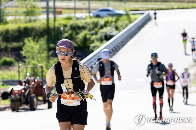 [연합뉴스 자료사진]