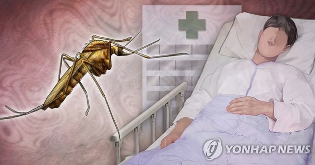 일본 뇌염 환자·빨간집모기