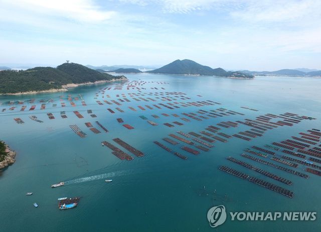 청정 완도 양식장