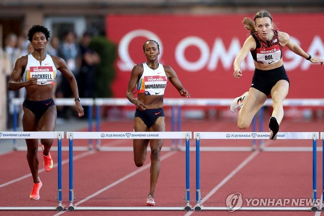 역주하는 펨키 볼