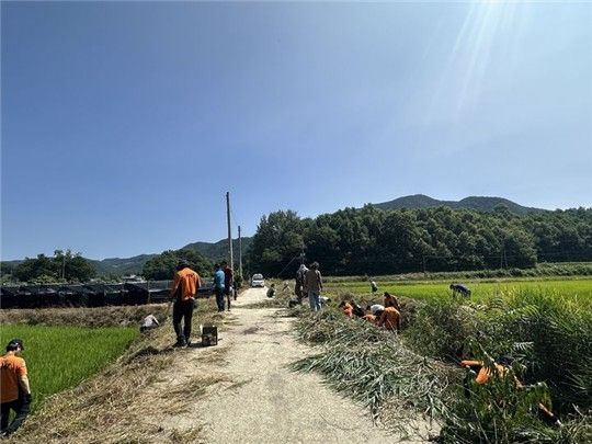 사고 현장 수색