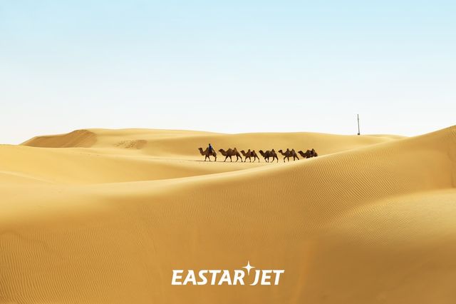 네이멍구 오르도스