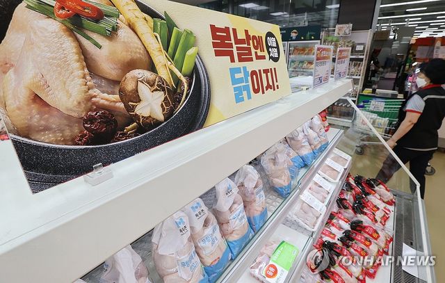대형마트에 진열된 닭고기