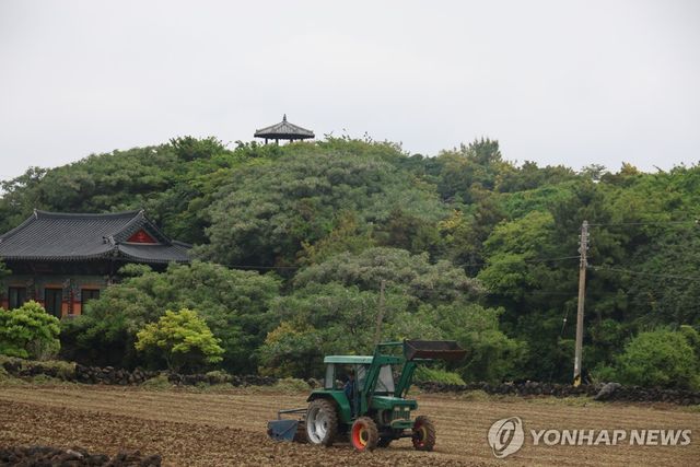 제주시 구좌읍 행원 연대봉
