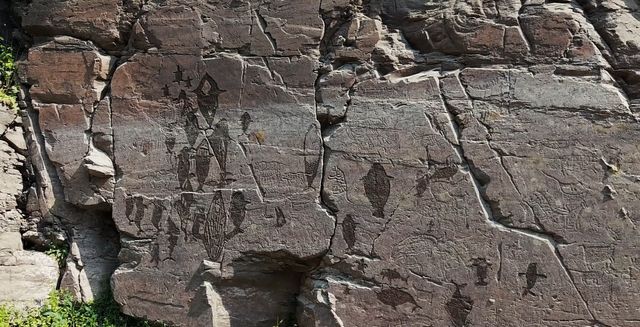 '울주 대곡리 반구대 암각화' 속 고래들