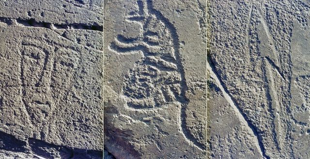 '울주 대곡리 반구대 암각화' 속 그림들 