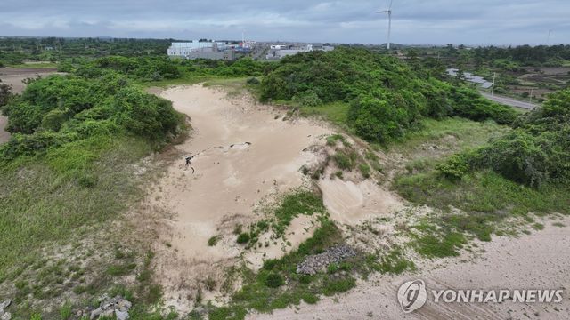 제주 한동리 단지모살 해안사구