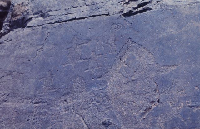 새끼 업은 고래, 거북이, 사람