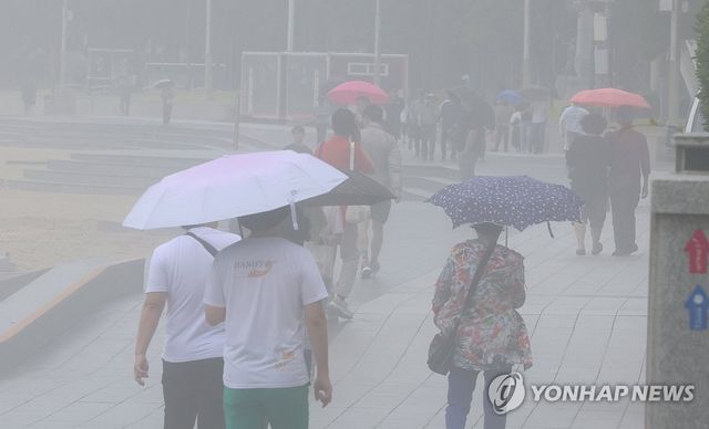 비 내리는 부산