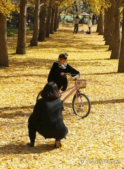 깊어가는 가을 속 모녀