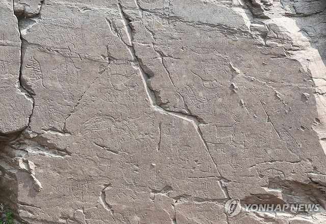 선명하게 보이는 반구대 암각화 속 동물들