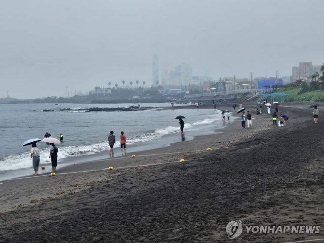 비 내리는 제주