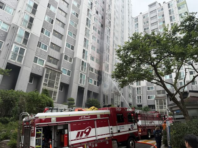 화재진압하는 소당대원