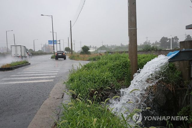 제주에 내리는 비