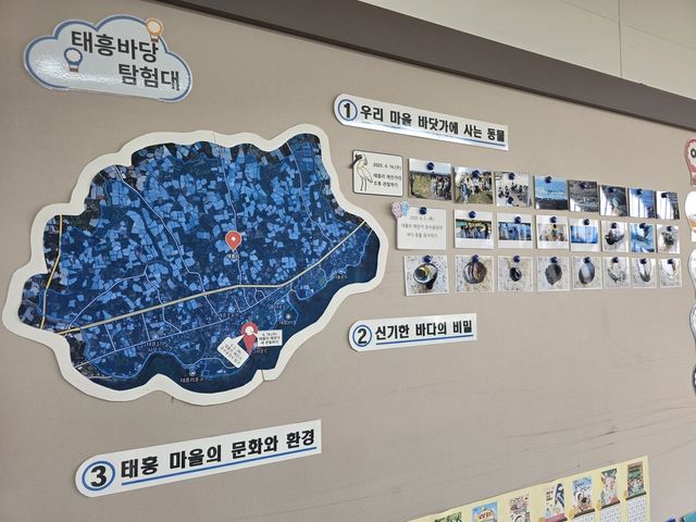 태흥 바당 탐험대 활동