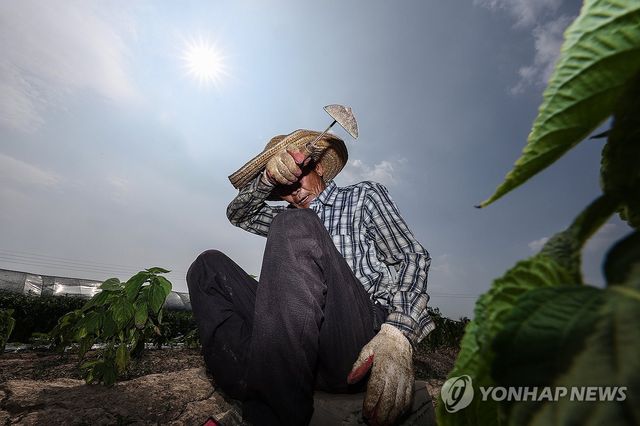폭염 속 온열질환 조심