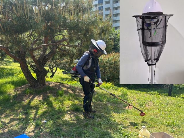 예초 작업자가 '벌망 일체형 예초용 안전모'를 착용하고 일하는 모습