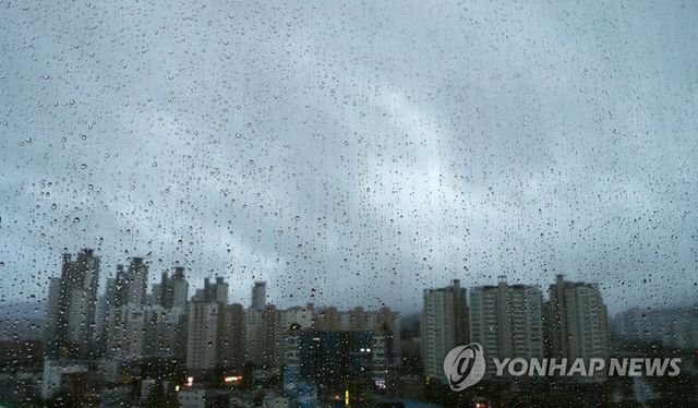 대구 도심 적시는 비