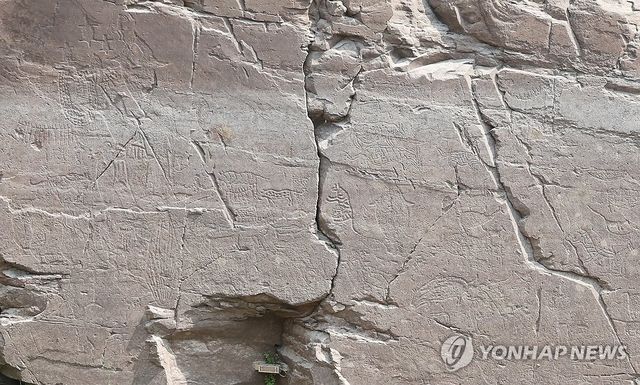 선명하게 보이는 반구대 암각화 속 동물들