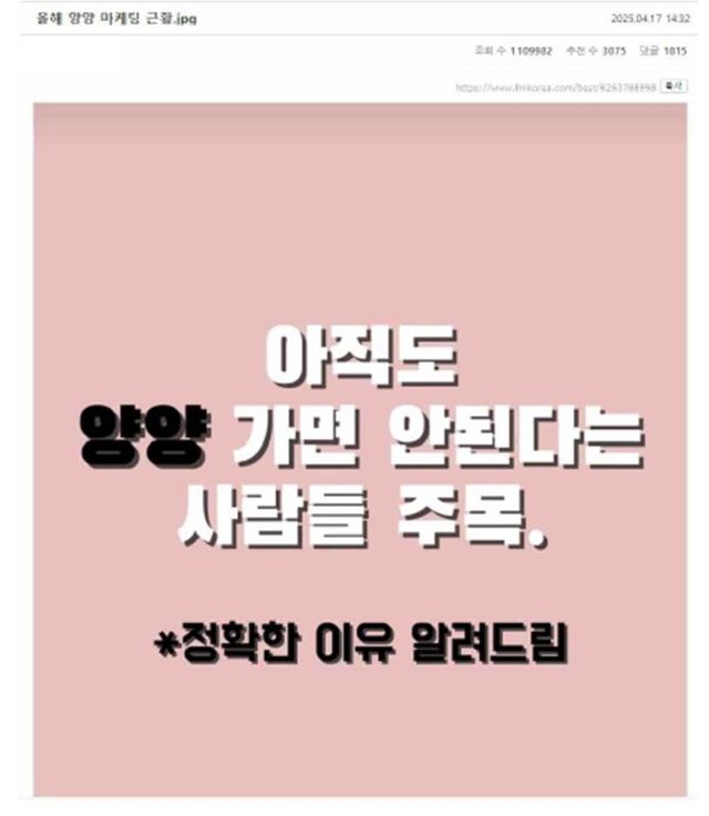 커뮤니티에 올라온 양양 관련 글