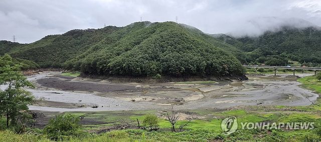 강릉 상수원에 유입되는 물줄기