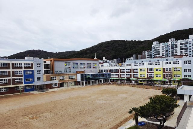 부산 용호초등학교 전경