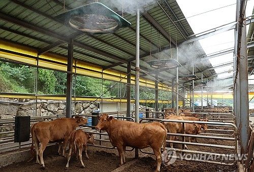 축사 선풍기 가동