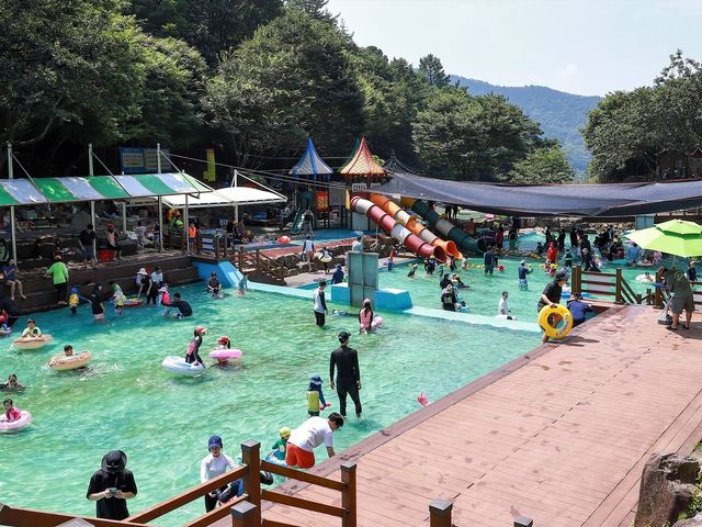 지난해 금성산 생태 물놀이장 모습