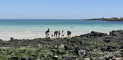 에메랄드 빛 우도 홍조단괴 바다. 2024.5.