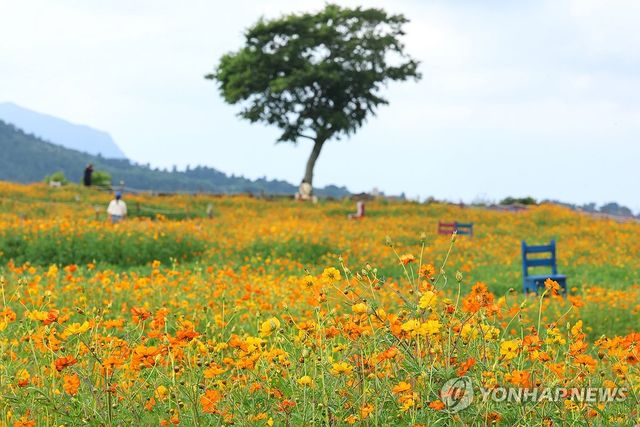 가을의 문턱은 아닙니다만