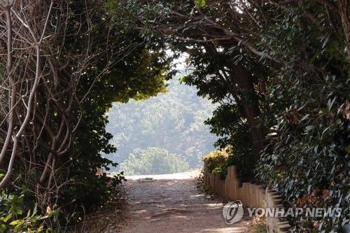 거제 지심포 풍경