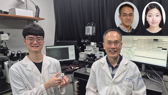 인간의 뇌 닮은 신경세포 플랫폼 개발한 KAIST 연구팀 