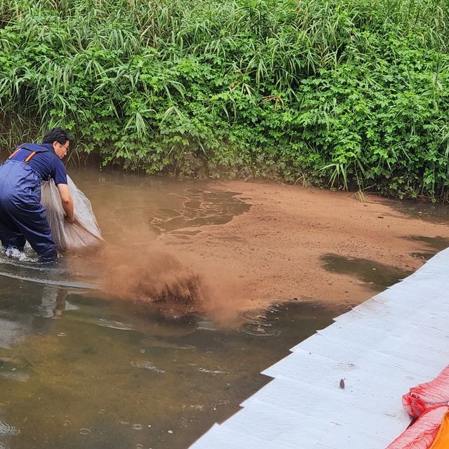 탄동천으로 유출된 항공유 방재 작업