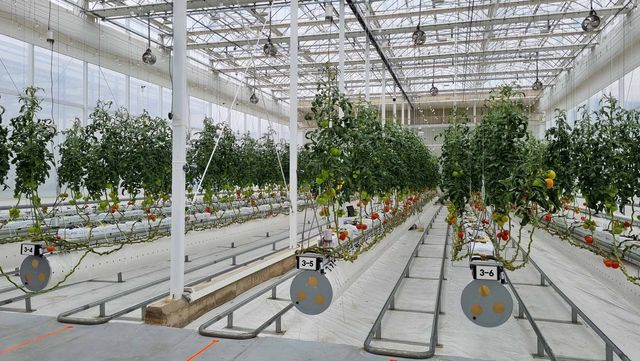 한국기계연구원이 운영 중인 온실 실증시설 