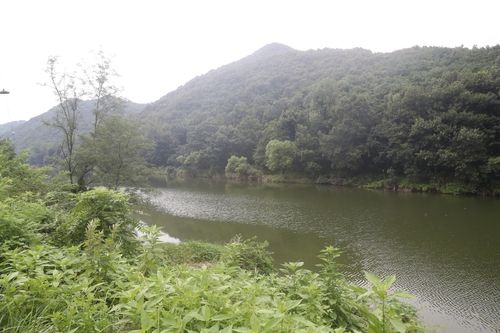 충남 부여·청양 지천댐 예정지