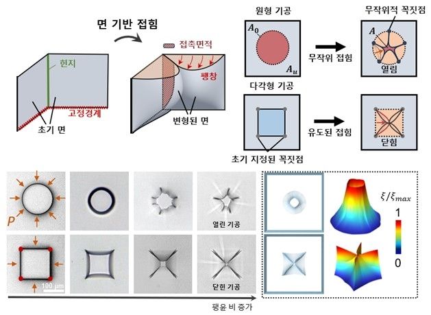 하이드로젤 미세 기공 작동원리 모식도