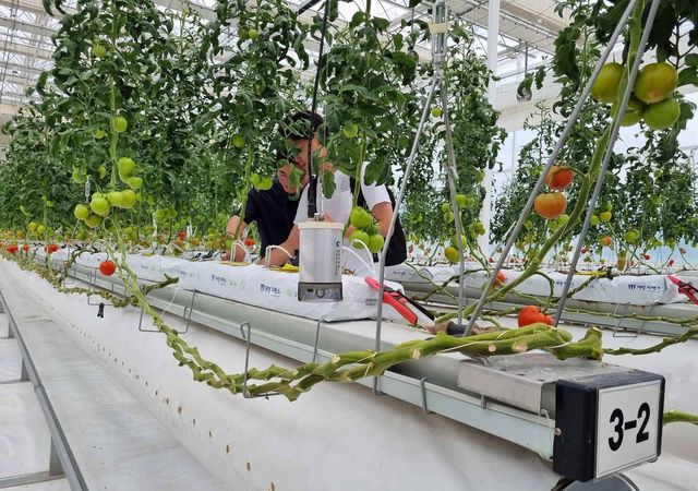 한국기계연구원이 운영중인 온실 실증시설 