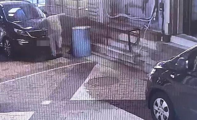 길고양이 학대하는 A씨