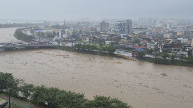조치원 도심 위협하는 조천 수위