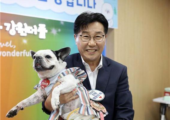 "반려견 인턴을 소개합니다"