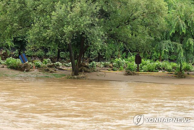 수마가 지나간 유구 색동수국정원