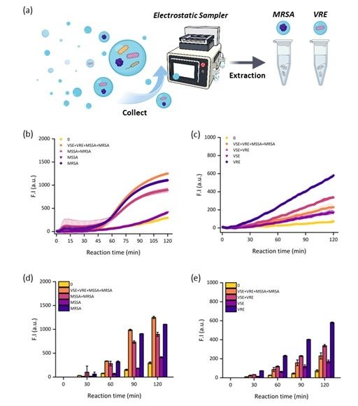 공기 중 항생제 내성균 검출 결과 