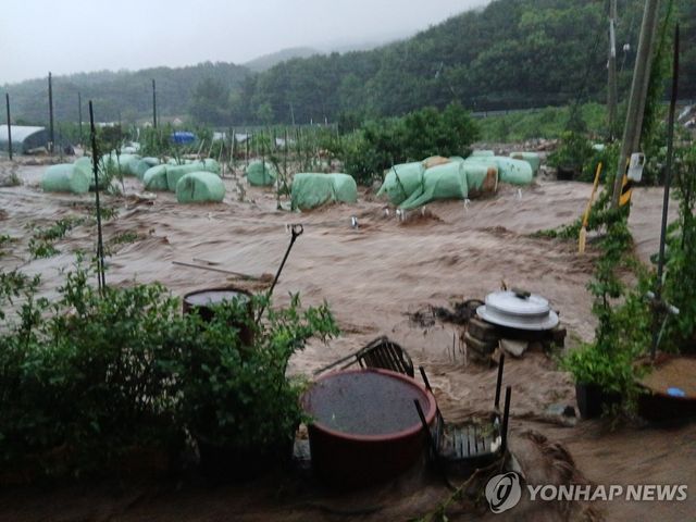 집중호우로 물에 잠긴 예산 마을