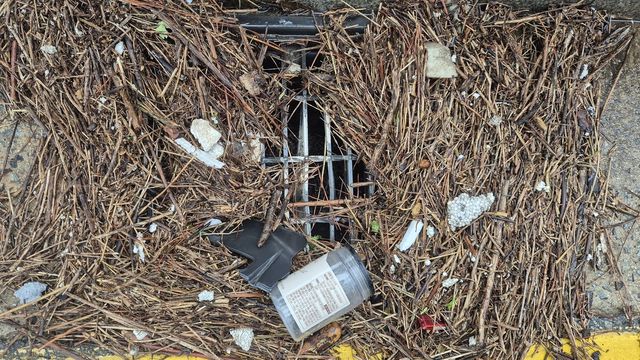 오물에 막힌 1번 국도변 배수구