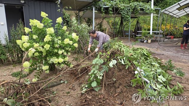 "이걸 언제 다 치운댜?"