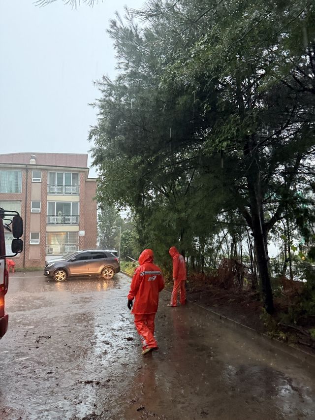 호우 피해 안전조치 현장