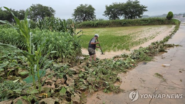 "이걸 다 어쩐댜?"