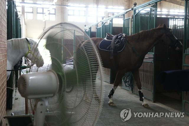 선풍기 바람 맞는 말