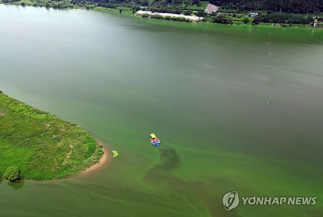 녹조 제거선 가동